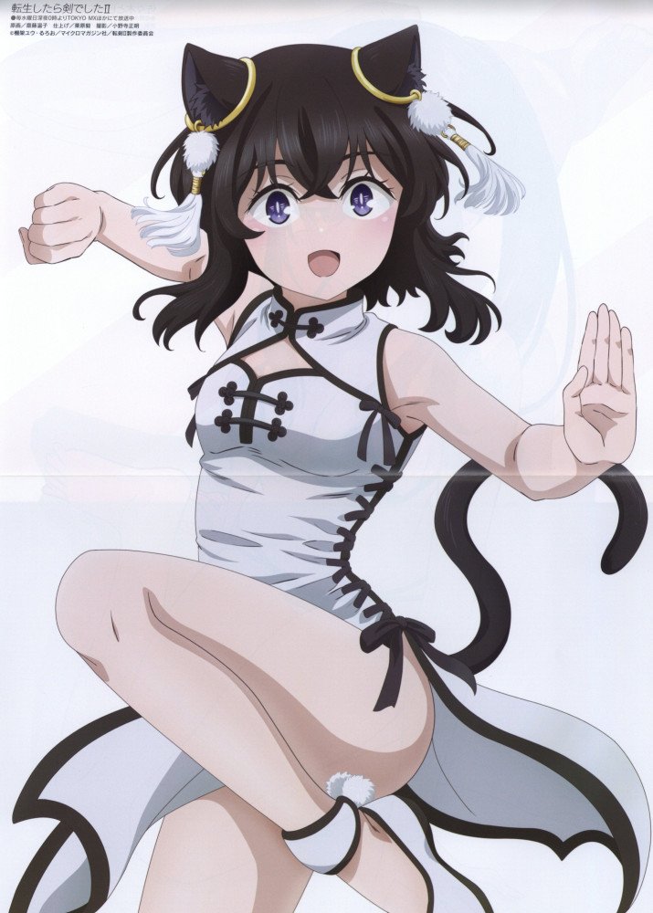 Megami Magazine December 2026