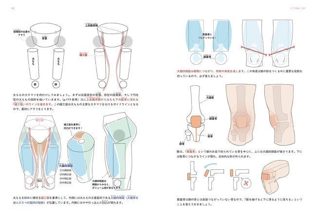 Beginner's Guide for Drawing Girls
