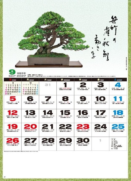Bonsai (2027 Calendar)