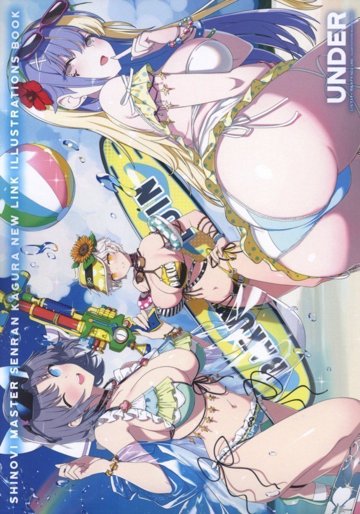 Shinobi Master Senran Kagura NEW LINK ILLUSTRATIONS BOOK【UNDER】