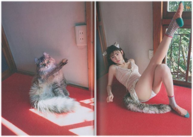 If My Cat Turned a Cute Girl