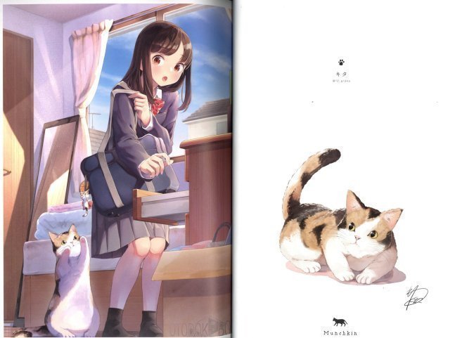 Cat And Me. - Neko to Watashi -- En Morikura etc