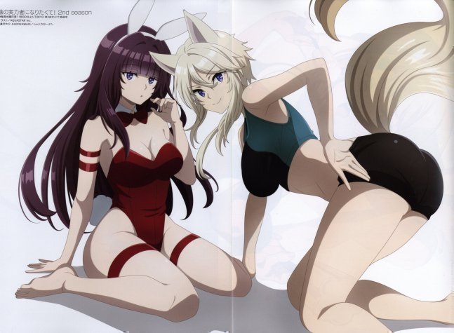 Megami Magazine January 2024