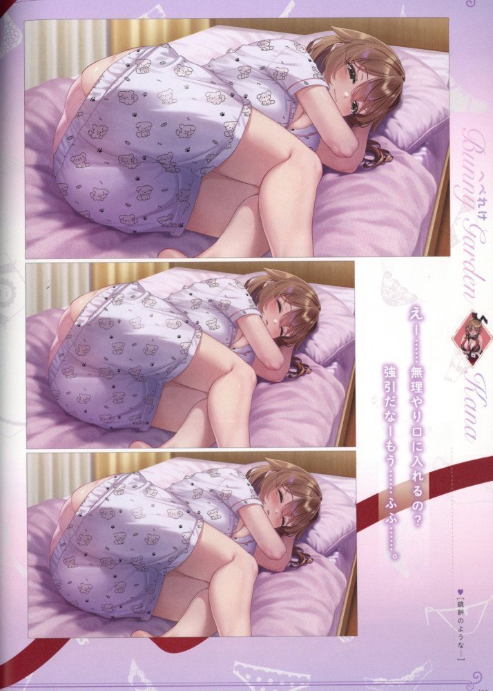 Bunny Garden & Merry Bunny Garden Official Visual Fan Book
