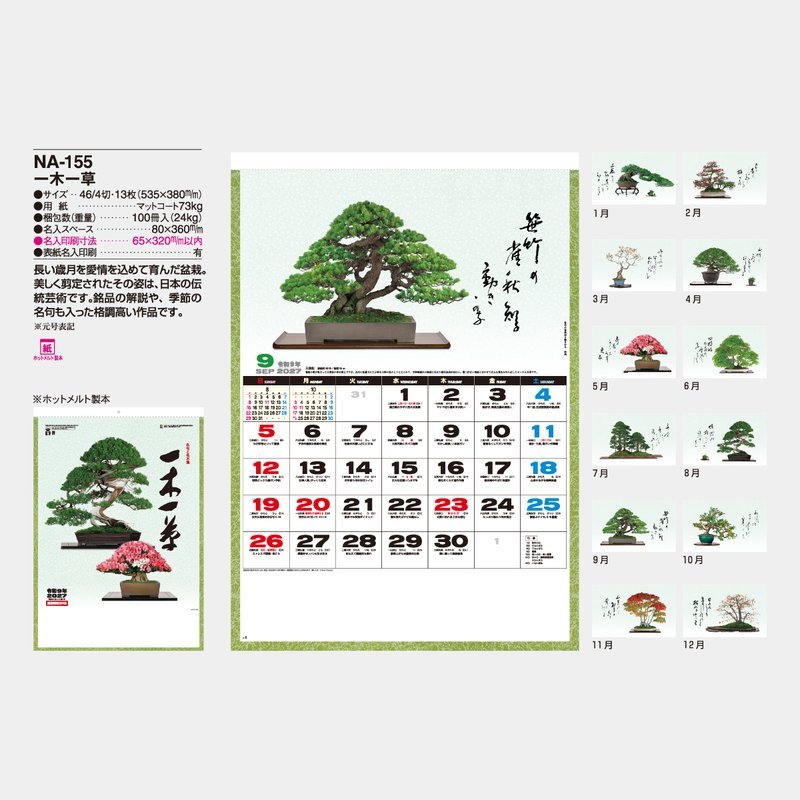 Bonsai (2027 Calendar)