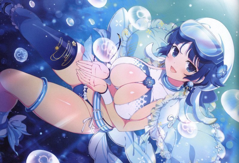 Shinobi Master Senran Kagura NEW LINK ILLUSTRATIONS BOOK【UNDER】
