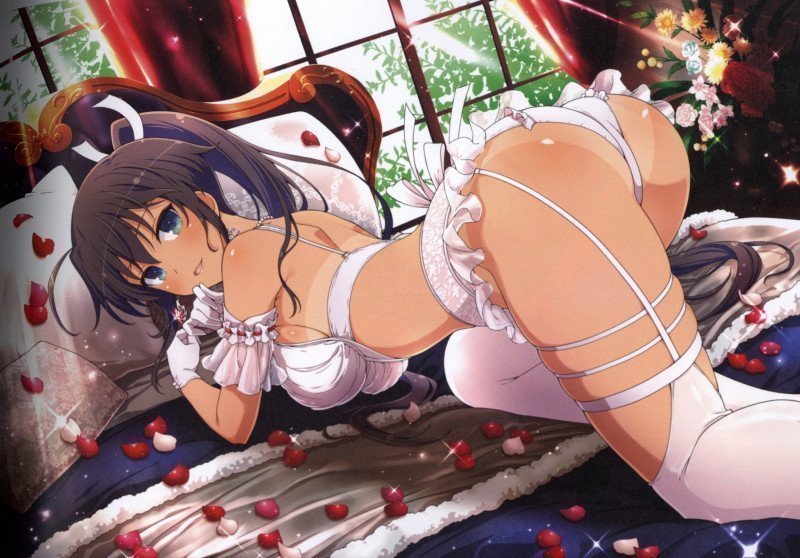Shinobi Master Senran Kagura NEW LINK ILLUSTRATIONS BOOK [TOP]