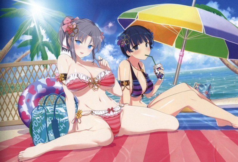 Shinobi Master Senran Kagura NEW LINK ILLUSTRATIONS BOOK【UNDER】