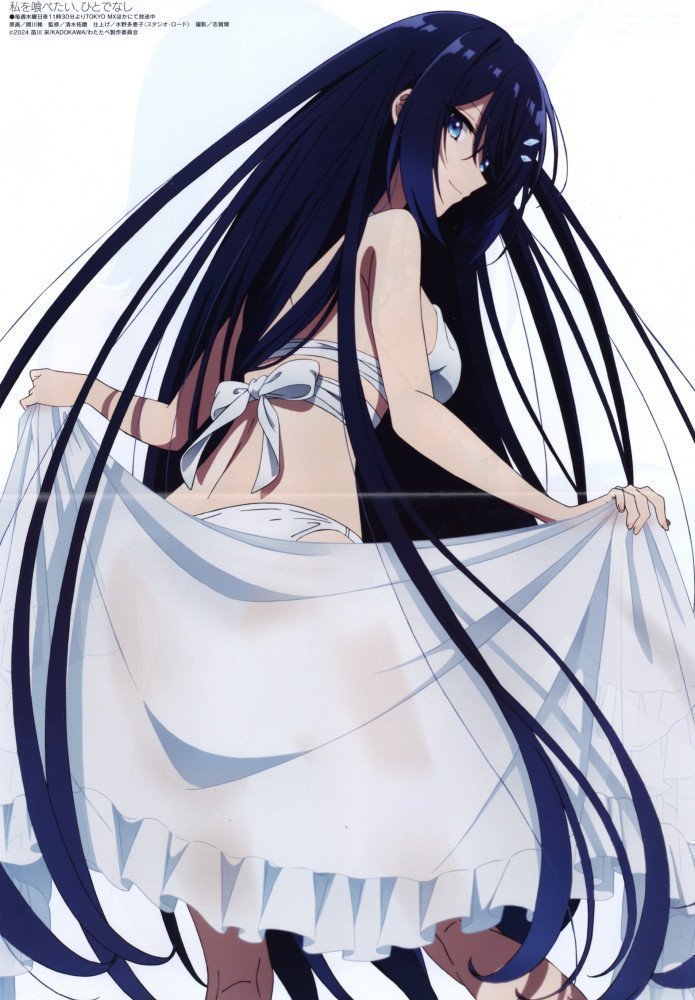 Megami Magazine January 2026