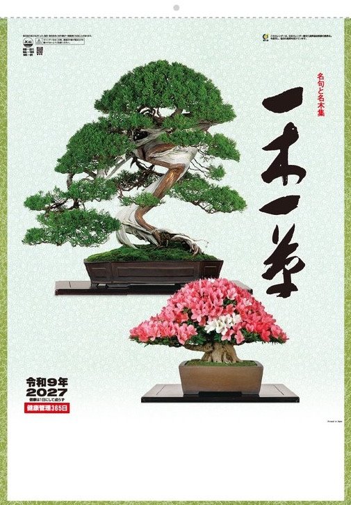 Bonsai (2027 Calendar)