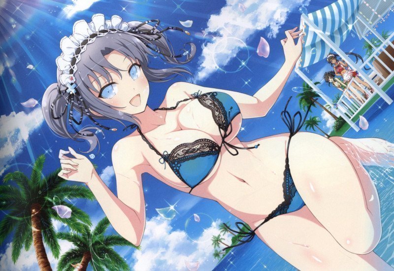Shinobi Master Senran Kagura NEW LINK ILLUSTRATIONS BOOK【UNDER】