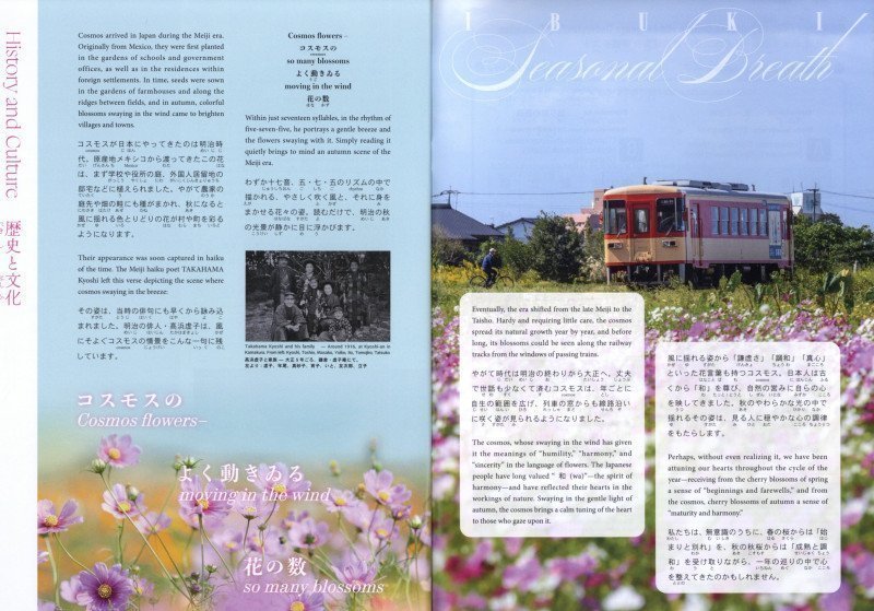Hiragana Times October 2025 NO. 468