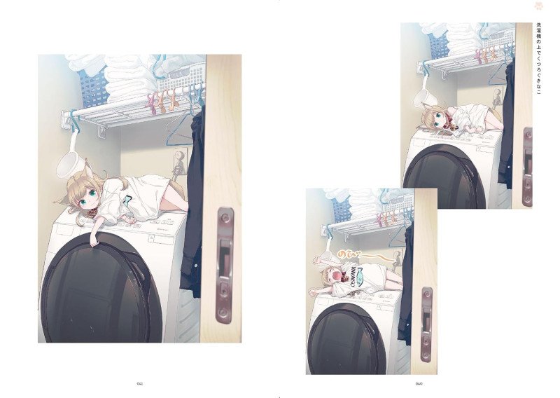 Hare Tokidoki Neko