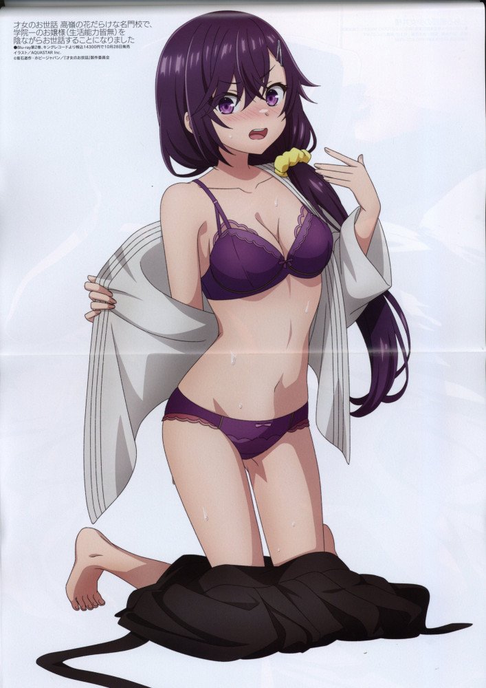 Megami Magazine November 2026