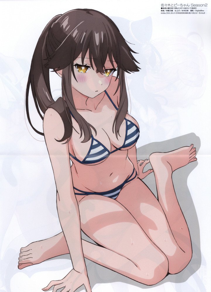 Megami Magazine December 2026