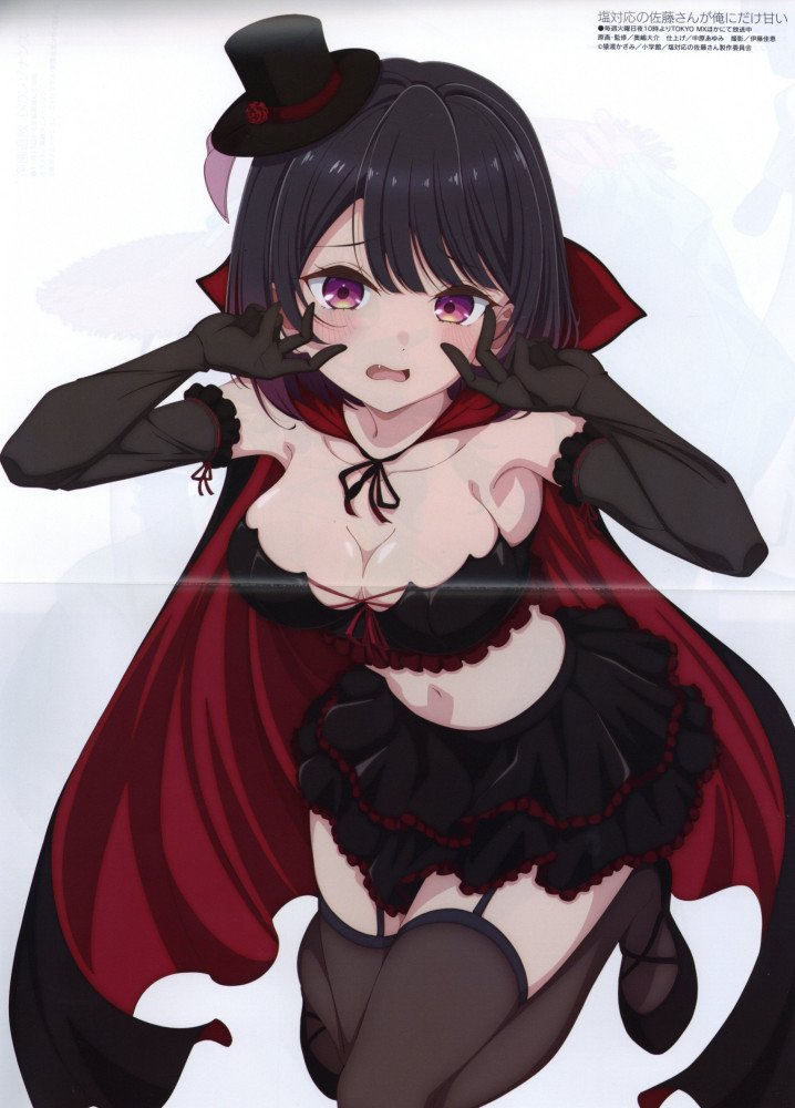 Megami Magazine December 2026