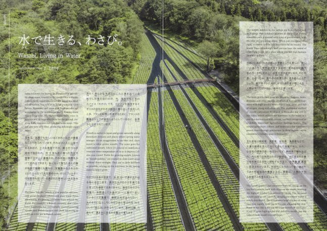 Hiragana Times June 2024 NO. 452