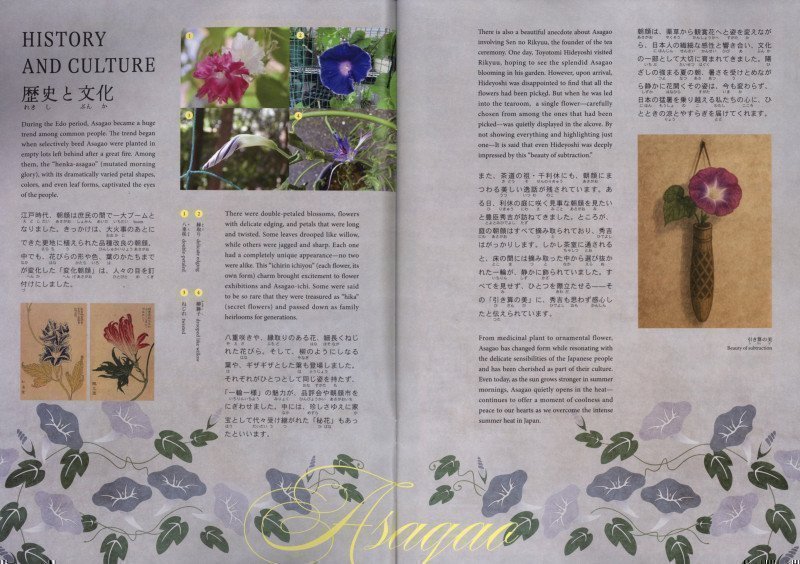 Hiragana Times August 2025 NO. 466