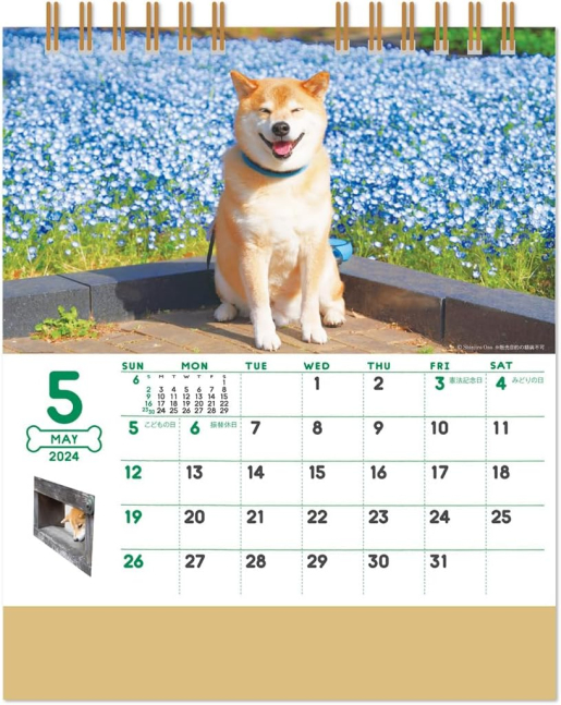 Desktop - Walking with Shiba Inu Maru (2024 Calendar)