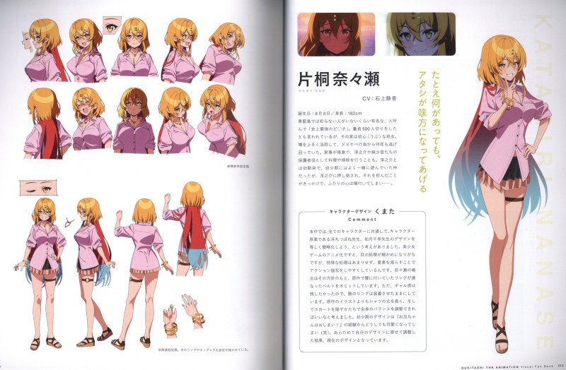 NUKITASHI THE ANIMATION VISUAL FAN BOOK