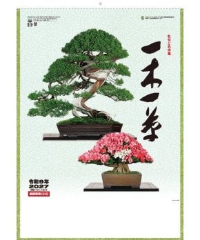 Bonsai (2027 Calendar)